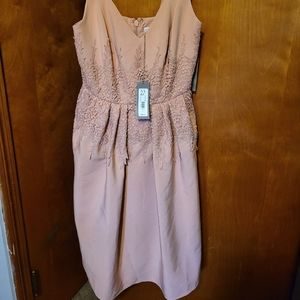 NWT NY&C Eva Mendes Dusty Pink Dress Size 2